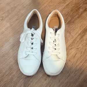 Steve Madden Classic White Sneakers